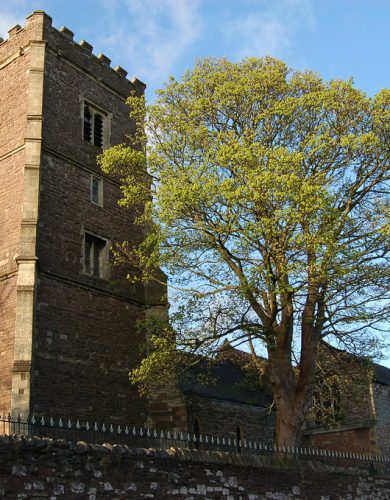 Newport Cathedral Restoration